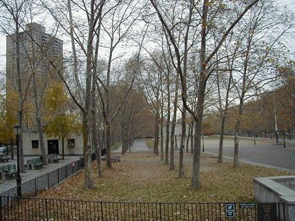 Cadman Plaza Park in Brooklyn<br>Location: <a href="https://www.google.com/maps/search/?api=1&query=40.69647,-73.9908" target="_new">Brooklyn City Tour, Tillary St</a>